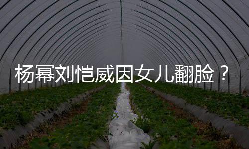 没这事公公回应威因女儿刘恺刘丹杨幂前翻脸